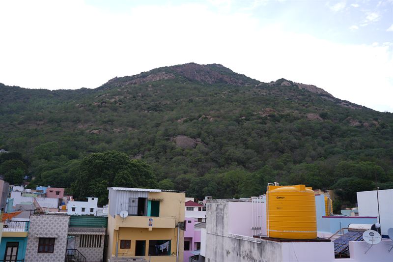 Arunachala hill with colourful city buildings in the foreground