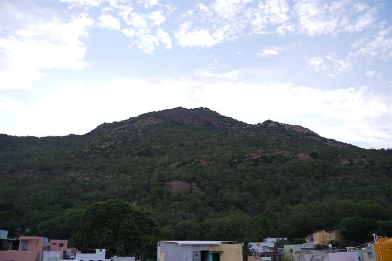 Arunachala hill rising above the rooftops of Tiruvannamalai